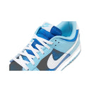 Nike Dunk Low Retro QS 'Argon' 2022