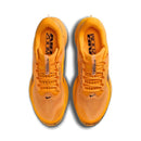 Nike Pegasus Premium LV8 'Modern Mayfly Pack'