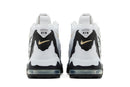 Nike Air DT Max '96 'Colorado Away - White Black'